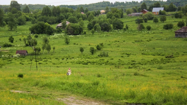 Тягун летом.