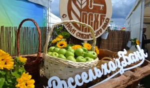 Алтайский филиал Россельхозбанка стал стратегическим партнером Дня сибирского поля – 2023.