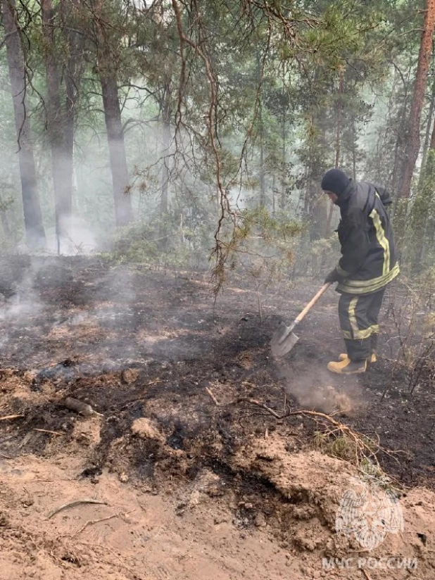 Лесной пожар в Егорьевском районе