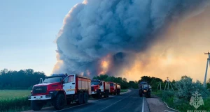 Лесной пожар в Егорьевском районе