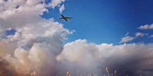 Лесной пожар в Егорьевском районе