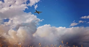 Лесной пожар в Егорьевском районе