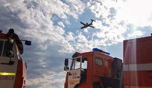 Лесной пожар в Егорьевском районе