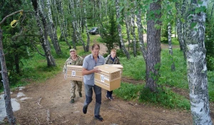 Три сокола выпустили в природу.