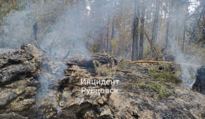 Последствия лесного пожара в Егорьевском районе.