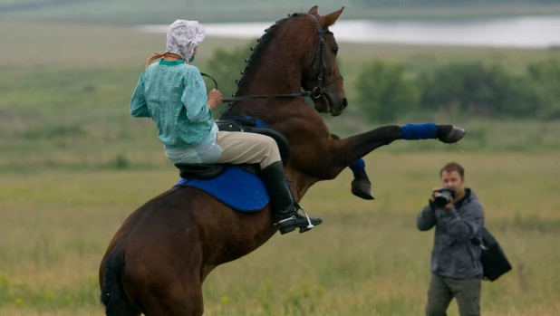 Открытый турнир по конному спорту. 2010 год. 