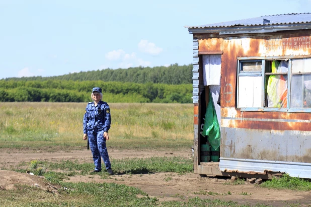 Заключенные женской исправительной колонии №6 на капустном поле.