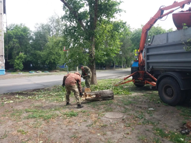 В Барнауле устранили последствия сильного ветра.