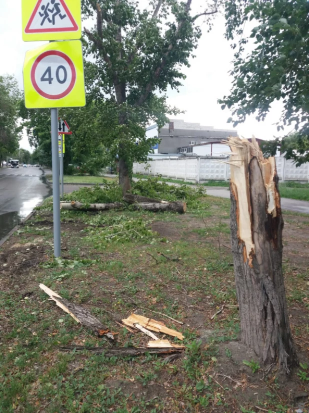 В Барнауле устранили последствия сильного ветра.