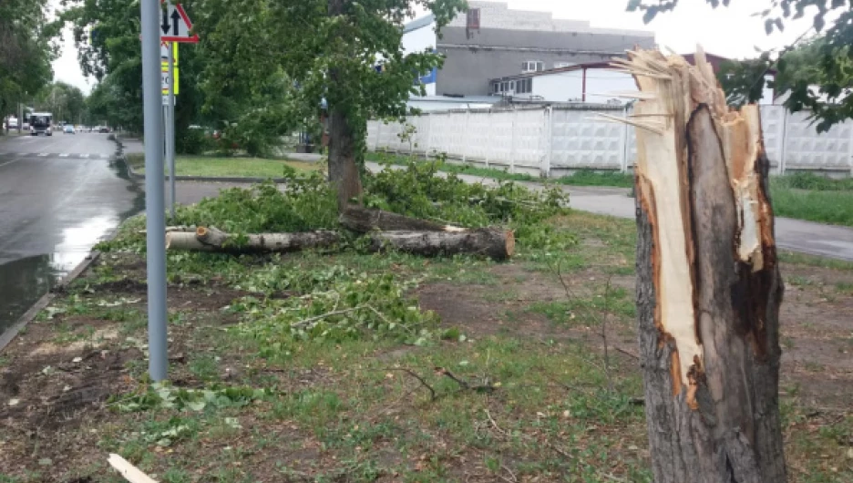 В Барнауле устранили последствия сильного ветра.