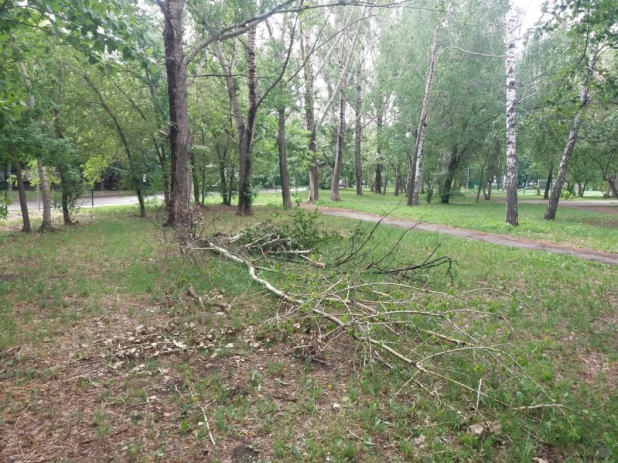 В Барнауле устранили последствия сильного ветра.