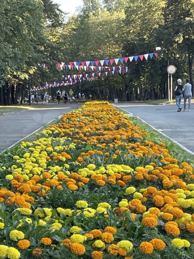 Евротрешка напротив сквера Химиков