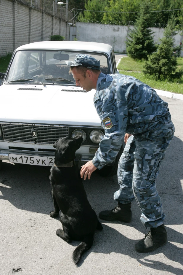 Кинологический питомник ГУ МВД по Алтайскому краю.