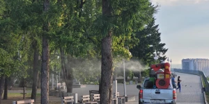 Обработка Барнаула от комаров и мошек.