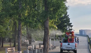 Обработка Барнаула от комаров и мошек.