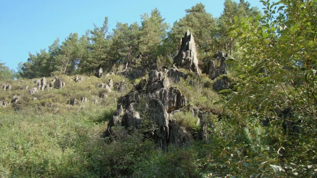 Памятник природы "Долина реки Каменка".