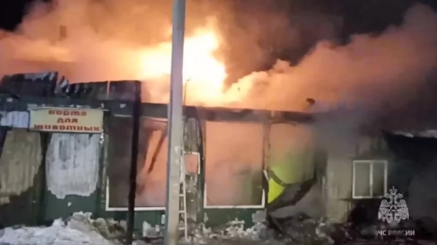 Пожар в нелегальном Доме милосердия в Кемерове.