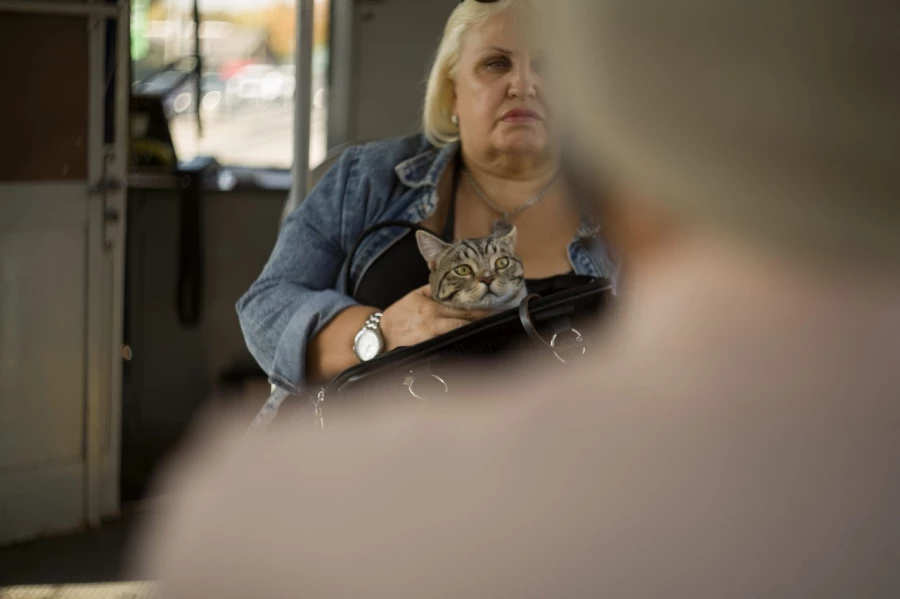 Женщина с кошкой в трамвае &quot;5&quot;.