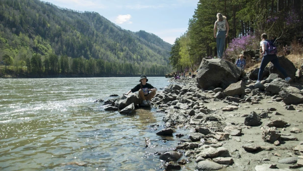 Бирюзовая Катунь.