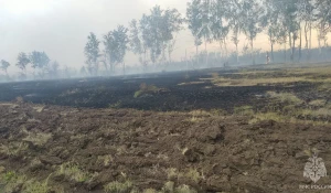 Пожар в Бурлинском районе 