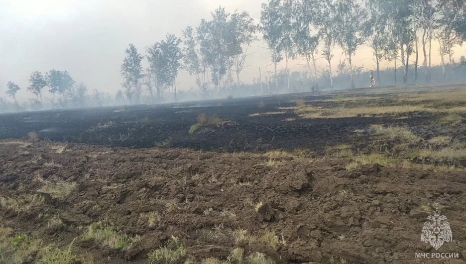 Пожар в Бурлинском районе 