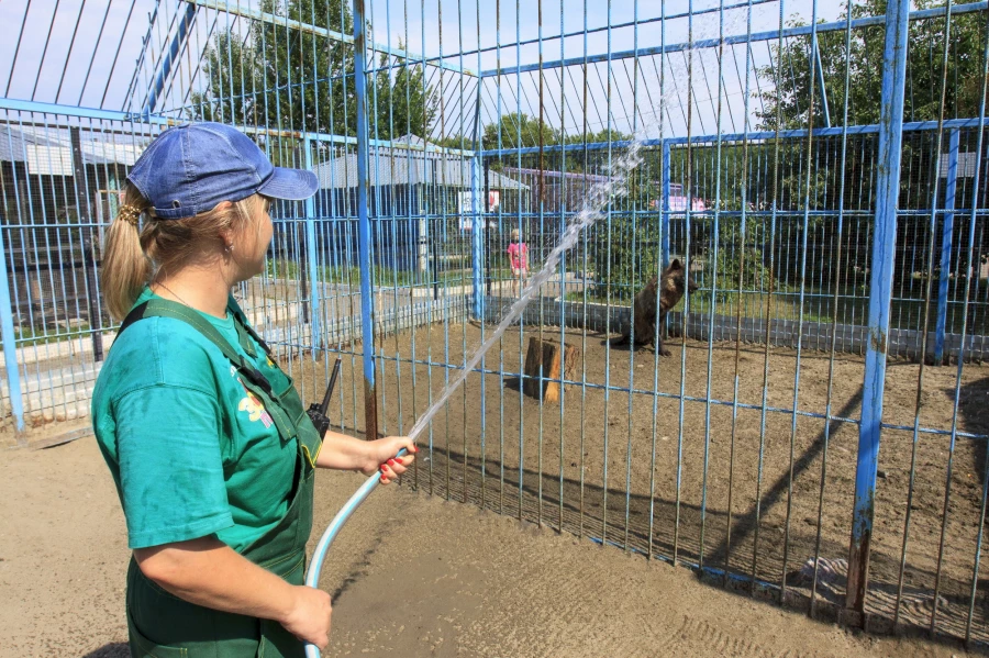 Спаси зоопарк. Зоопарк. Черепаха в барнаульском зоопарке. Зоопарк Барнаул. Фотография Барнаульский зоопарк Барнаул.