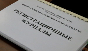Виктор Томенко сдал документы для регистрации на выборы губернатора.