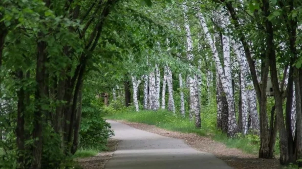 В Барнауле в 2024 году будет благоустроен парк им. Ленина.