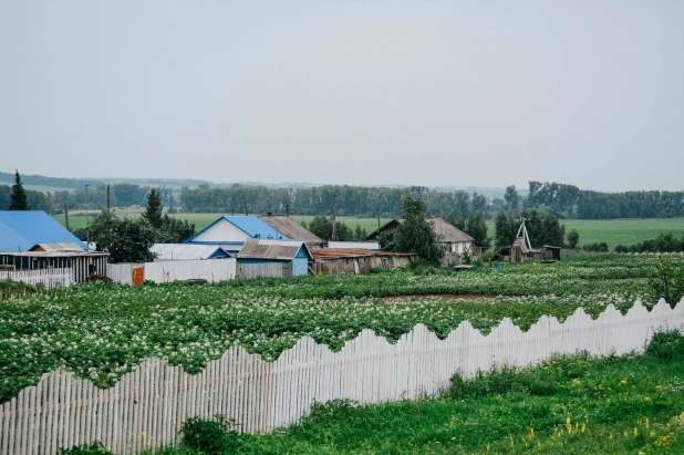 Дома в селе Дружба. 