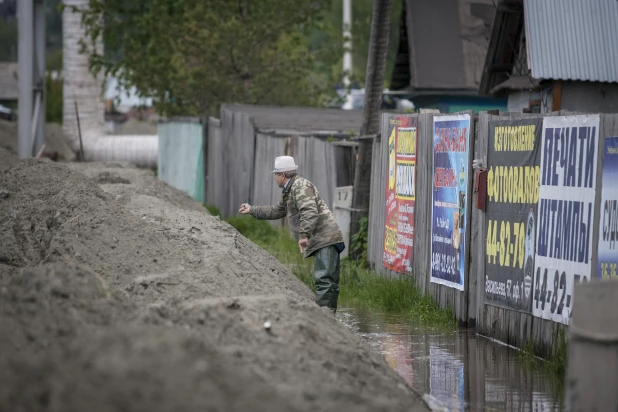 Наводнение-2014 в Бийске. 