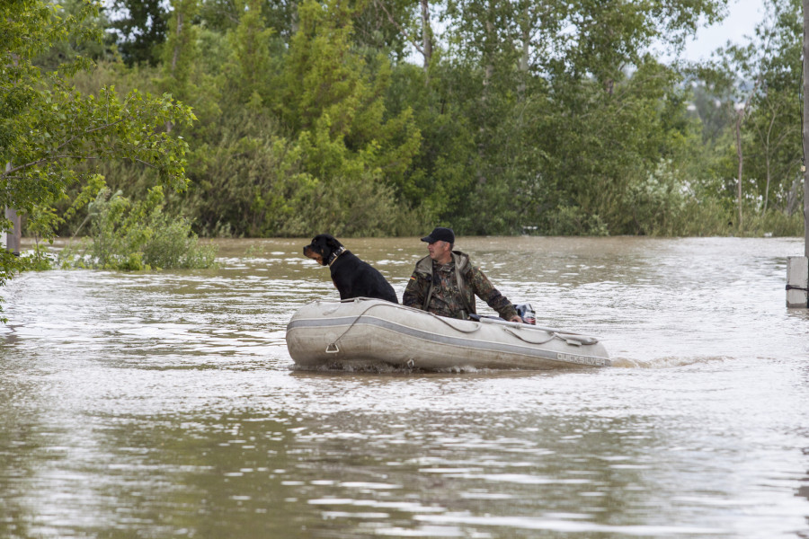 Наводнение-2014 в Бийске. 