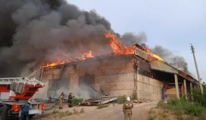 Пожар в здании предприятия в Рубцовске