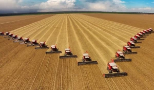 Россельхозбанк на Алтае направил на сезонные работы более 5 млрд рублей.