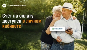 Услуги ЖКХ стали чаще оплачивать в онлайн-сервисах «Алтайэнергосбыт».
