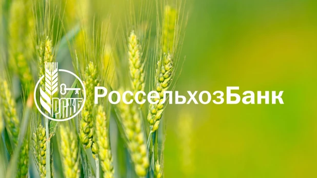 РСХБ на Алтае дарит новым корпоративным клиентам 5% на остаток на счете.