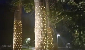 Подсветка в Изумрудном парке.