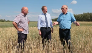 Губернатор Томенко рассказал, как можно еще увеличить урожайность в Алтайском крае