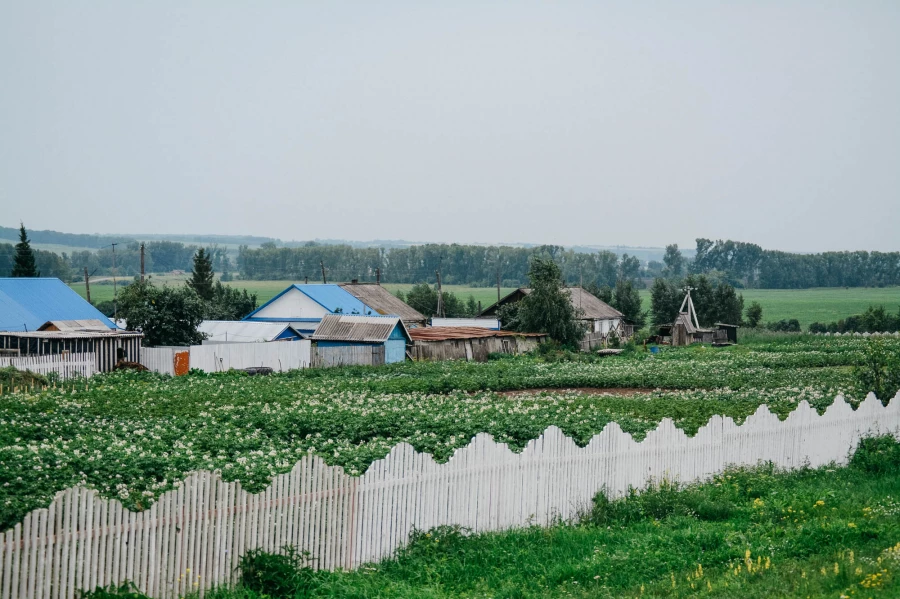 Микрорайон в селе Дружба Целинного района. 