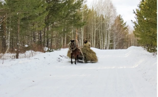 Бугрышиха и ее окрестности.