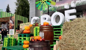 Фестиваль фермерской еды в г. Барнауле.