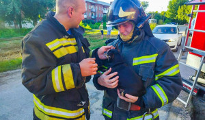 Сибирские пожарные спасли из огня пять кошек и одну собаку
