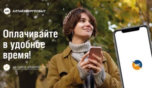 Все вопросы с АО «Алтайэнергосбыт» можно решить онлайн.