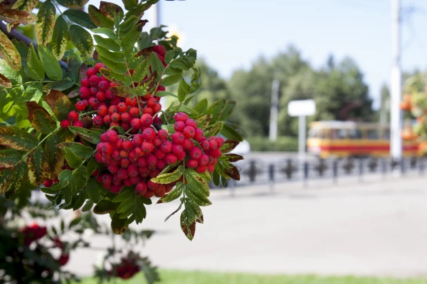 Августовская фотоподборка