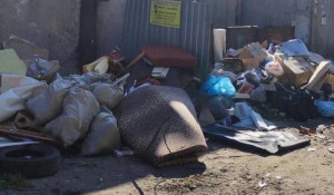 Жители Барнаула пожаловались, что на одной из улиц уже месяц не вывозят мусор.