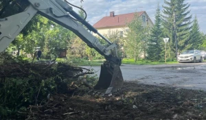 В Барнауле продолжают ликвидировать несанкционированные свалки.