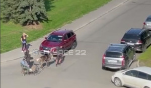 В Барнауле женщина пнула оленя, который катает детей.