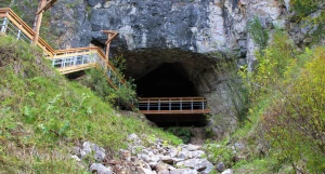 Новая лестница в Денисову пещеру.