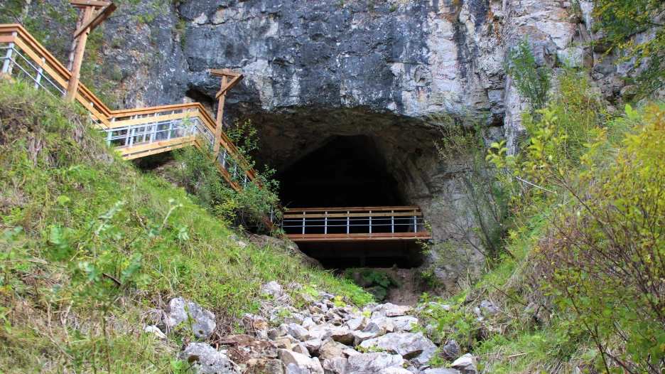 Новая лестница в Денисову пещеру.