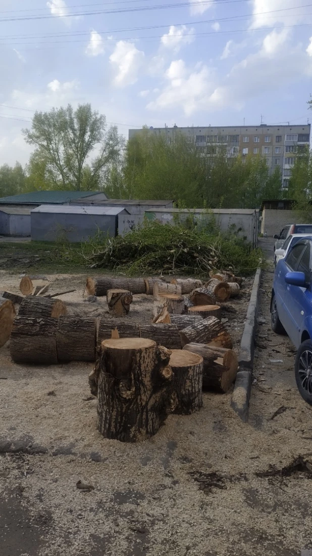 Деньги взяли, но площадку не сделали. Жители Алтайского края жалуются на хаос во дворе.