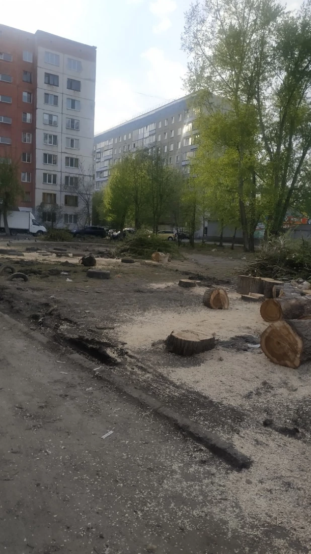 Деньги взяли, но площадку не сделали. Жители Алтайского края жалуются на хаос во дворе.